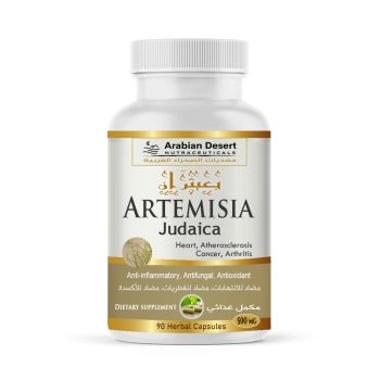 Artemisia Judaica (Buaitheran) - 90 Capsules