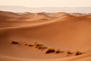 desert, sahara, dunes-6223778.jpg